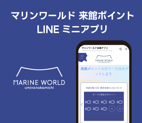 マリンワールド海の中道来館ポイントLINEミニアプリ
